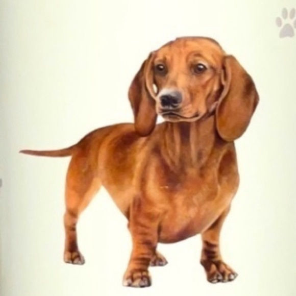 Nwot Dachshund Stainless Steel 20 oz Tumbler with Lid - Picture 4 of 4